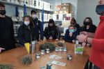visita monegrillo
